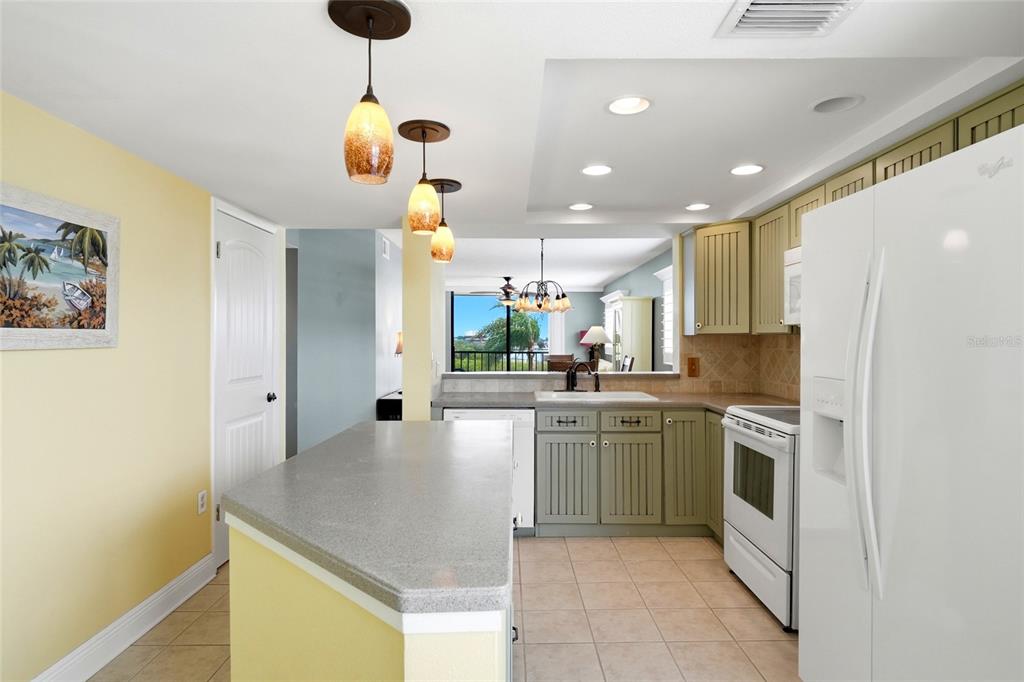 A living room features light green walls, hardwood floors, a beige sofa, and a balcony view — 1328 PASADENA AVENUE S UNIT 308, SOUTH PASADENA, FL