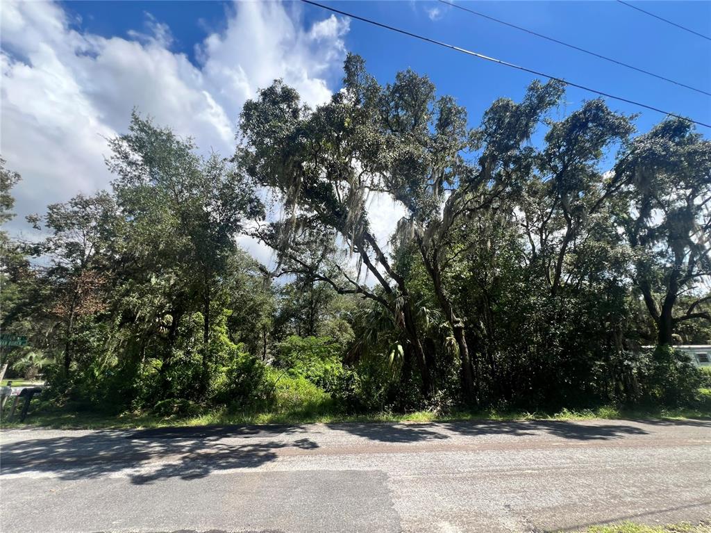6640 W VAN BUREN DRIVE, HOMOSASSA, FL — photo 2 of 4
