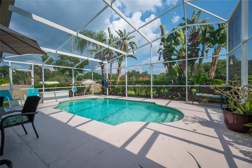 A screened-in patio features a swimming pool, patio furniture, and tall tropical plants — 101 KIANA DRIVE, BRANDON, FL