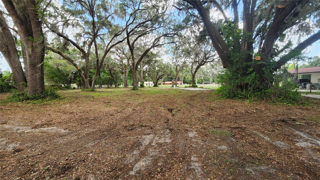 A large, cleared lot features many mature oak trees with hanging Spanish moss — 7059 SE COUNTY HIGHWAY 25A, BELLEVIEW, FL