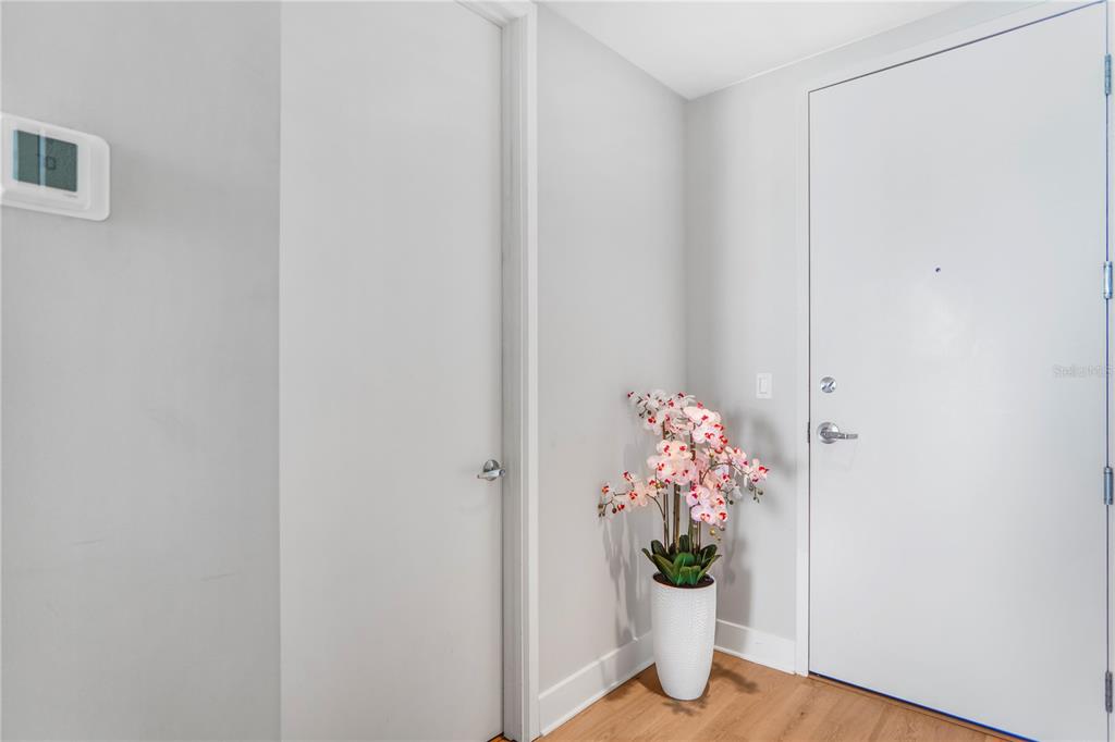 A white door and a closet door are visible in a room with light-colored walls — 150 E ROBINSON STREET UNIT 2608, ORLANDO, FL