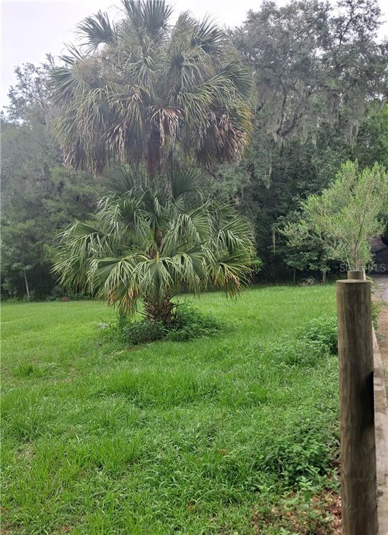 0 SE 130th STREET, BELLEVIEW, FL — photo 3 of 5