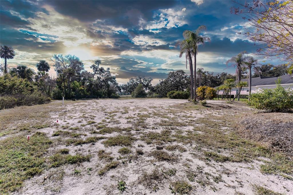 A vacant, sandy residential lot features scattered patches of grass and several tall palm trees — 3001 WILDERNESS BOULEVARD E, PARRISH, FL