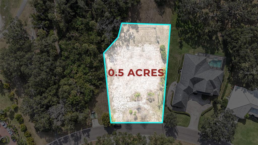 This aerial view shows a vacant, irregularly shaped residential lot outlined in blue — 3001 WILDERNESS BOULEVARD E, PARRISH, FL