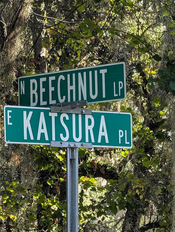 A street sign displays the intersection of N Beechnut Lp and E Katsura Pl — 6650 N BEECHNUT LOOP, HERNANDO, FL