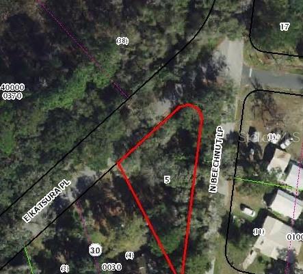 This is an aerial map view of a vacant, triangular-shaped residential lot — 6650 N BEECHNUT LOOP, HERNANDO, FL