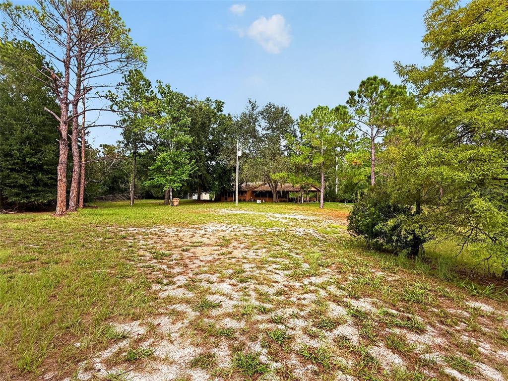 24939 OLD DEER ROAD, PAISLEY, FL — photo 5 of 30