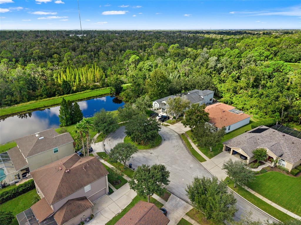 6111 HERONCREST COURT, LITHIA, FL — photo 4 of 30
