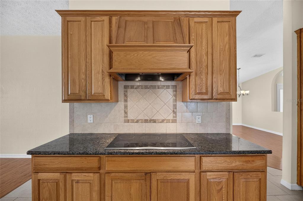 4404 KENDAL COURT, VALRICO, FL — photo 4 of 30