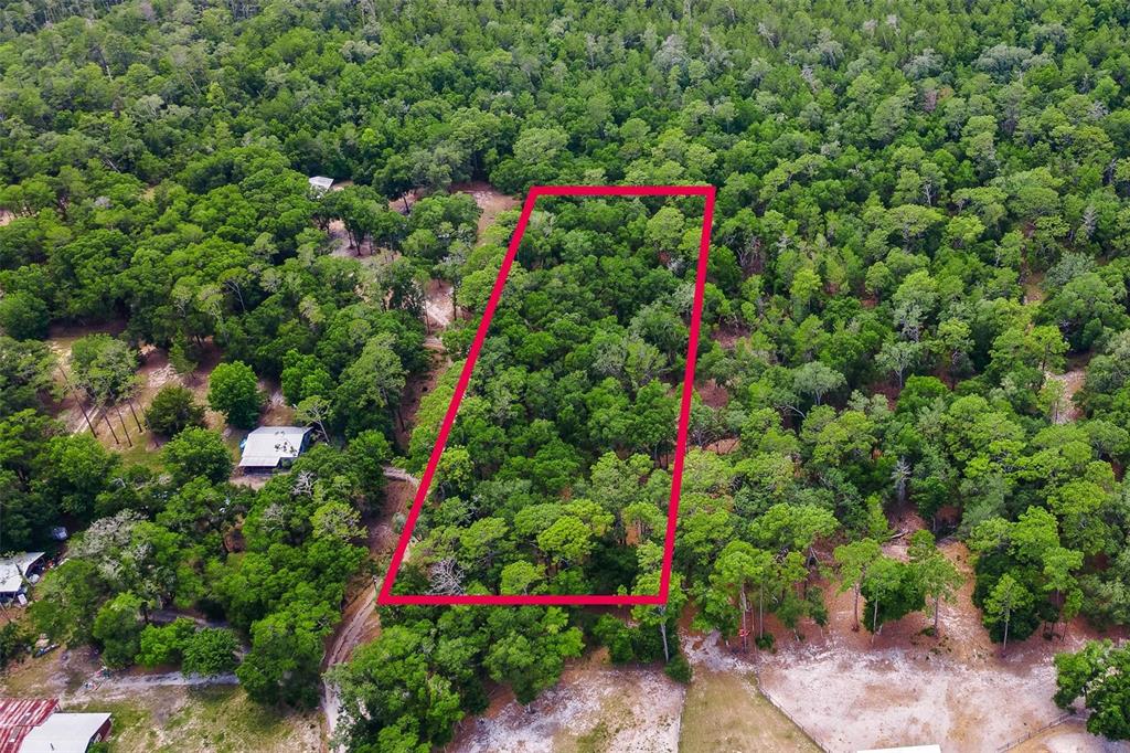 An aerial view shows a rectangular plot of land outlined in red amidst dense forest — SE 152ND - LOT 17 (RAVENSWOOD RD) PARCEL C PLACE, ALTOONA, FL