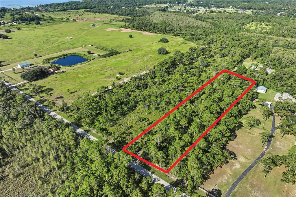 An aerial view shows a rectangular wooded lot outlined in red next to a road — 0 LAKE GENTRY ROAD, ST CLOUD, FL