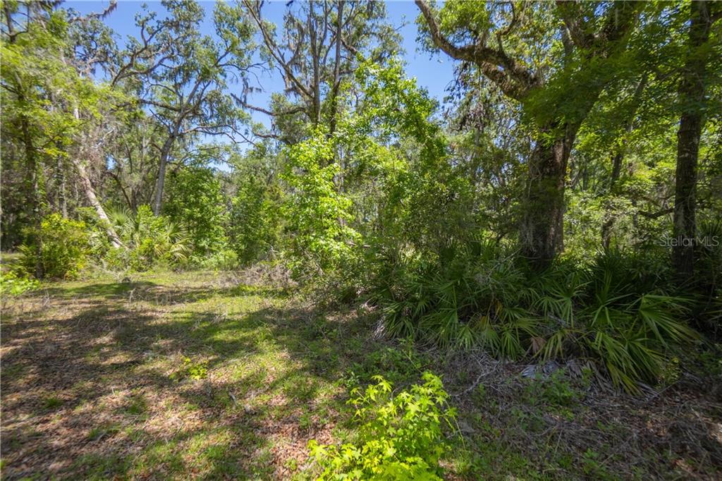 105 NE 239 AVENUE, OLD TOWN, FL — photo 5 of 24