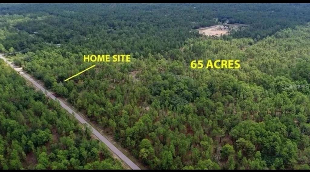 An aerial view shows a wooded plot of land with a road and marked home site — SW OBEE RIDGE ROAD, DUNNELLON, FL