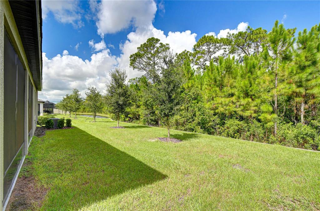 10577 BANYAN BREEZE BOULEVARD, LAND O LAKES, FL — photo 3 of 30