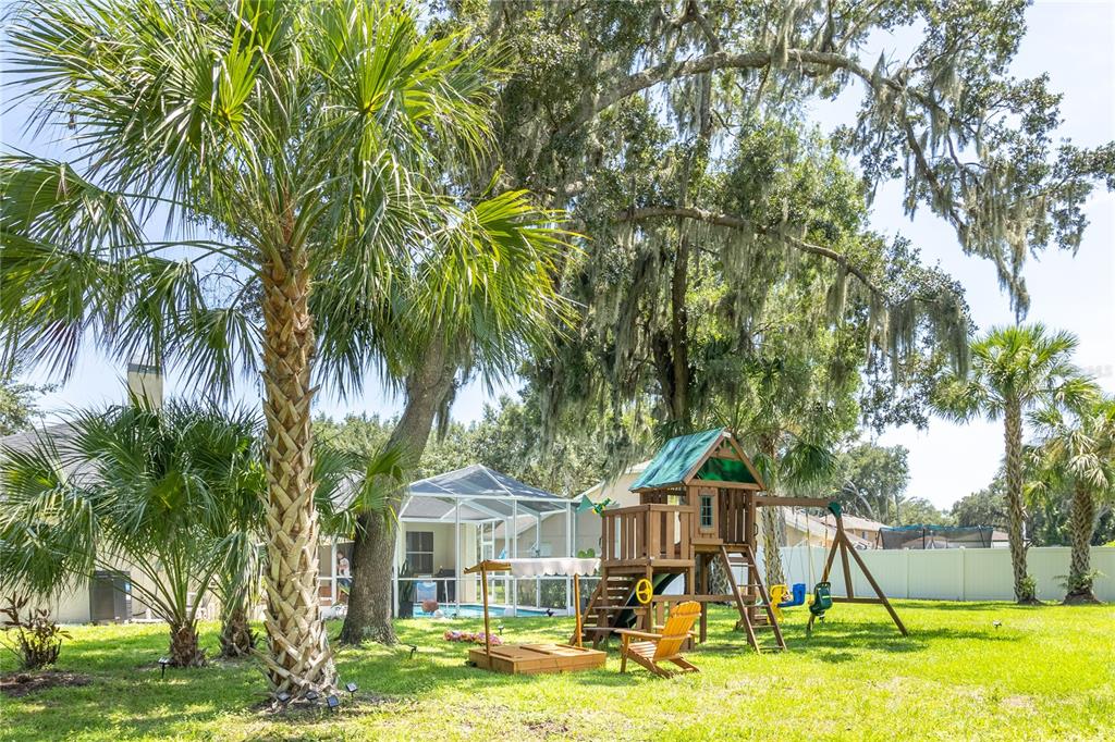 A backyard features a wooden playset, a sandbox, palm trees, and a screened-in pool area — 12526 RIVER BIRCH DRIVE, RIVERVIEW, FL