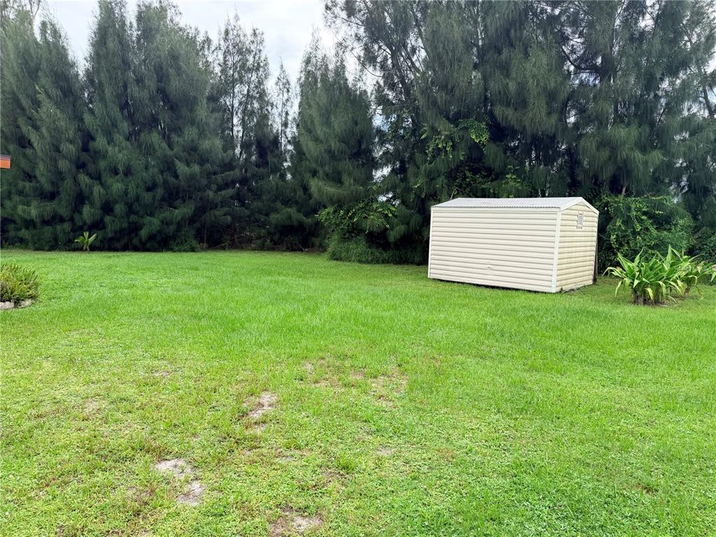 A grassy backyard features a beige storage shed situated in front of a dense tree line — 601 INDIAN CREEK LANE, PUNTA GORDA, FL