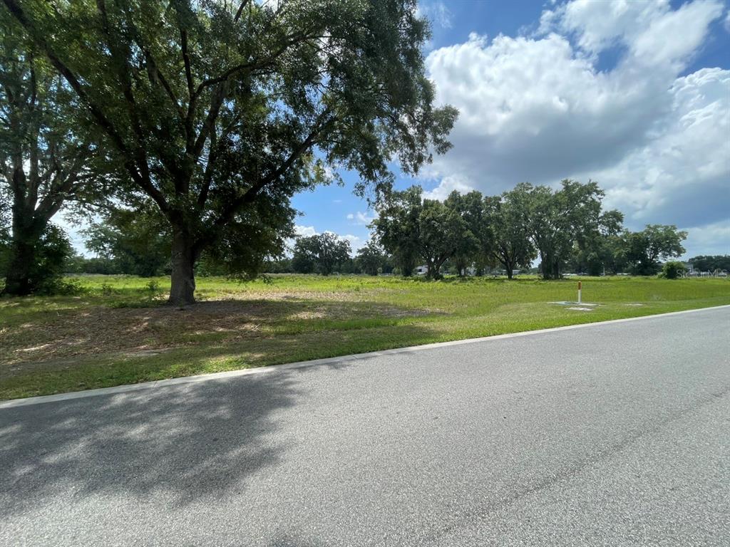 A grassy, vacant lot with scattered trees sits beside a paved road under a cloudy sky — 1020 DUCK BOX ROAD, UMATILLA, FL