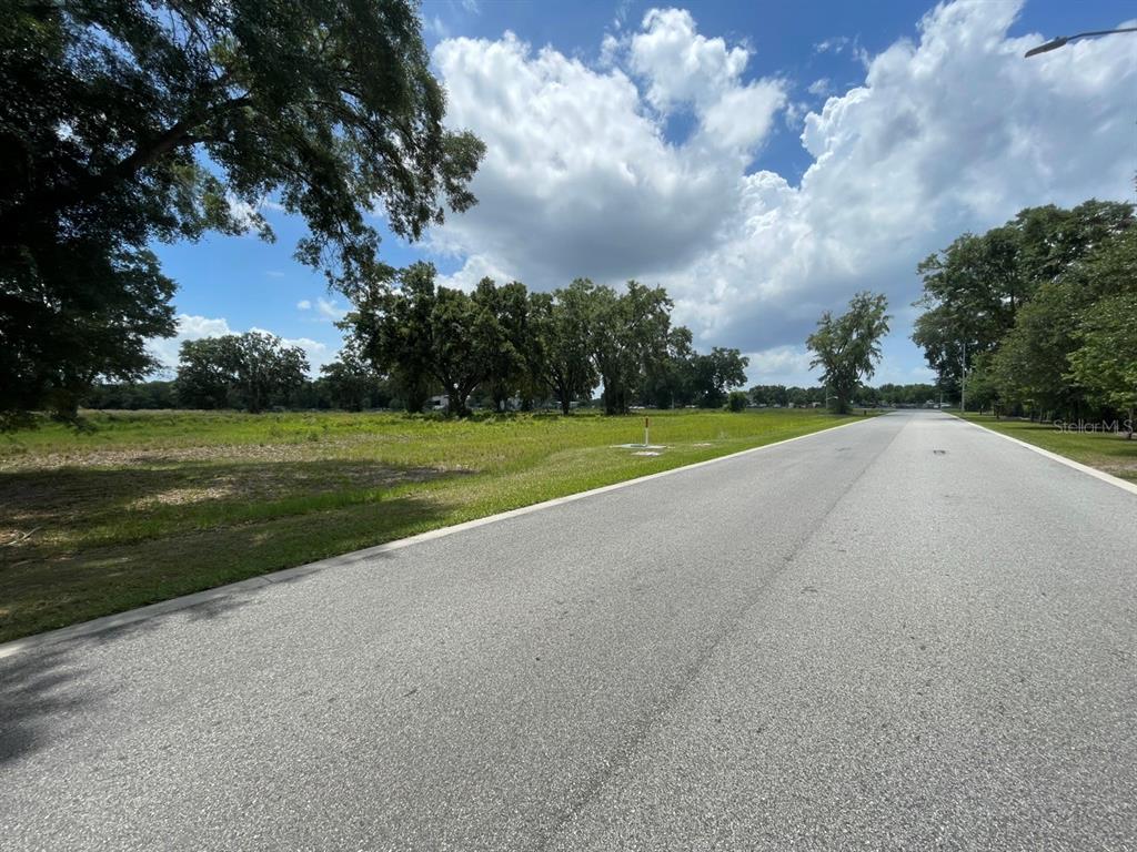 A paved road runs alongside a large, grassy vacant lot with scattered trees — 1020 DUCK BOX ROAD, UMATILLA, FL