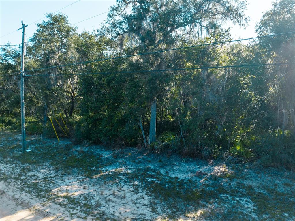 A sandy, undeveloped lot features dense trees and utility poles under a bright sky — 5790 BRYCE STREET, KEYSTONE HEIGHTS, FL