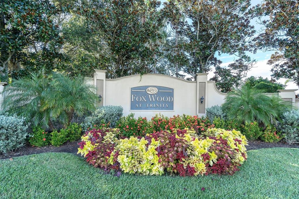 1913 TILDEN PLACE, TRINITY, FL — photo 2 of 30