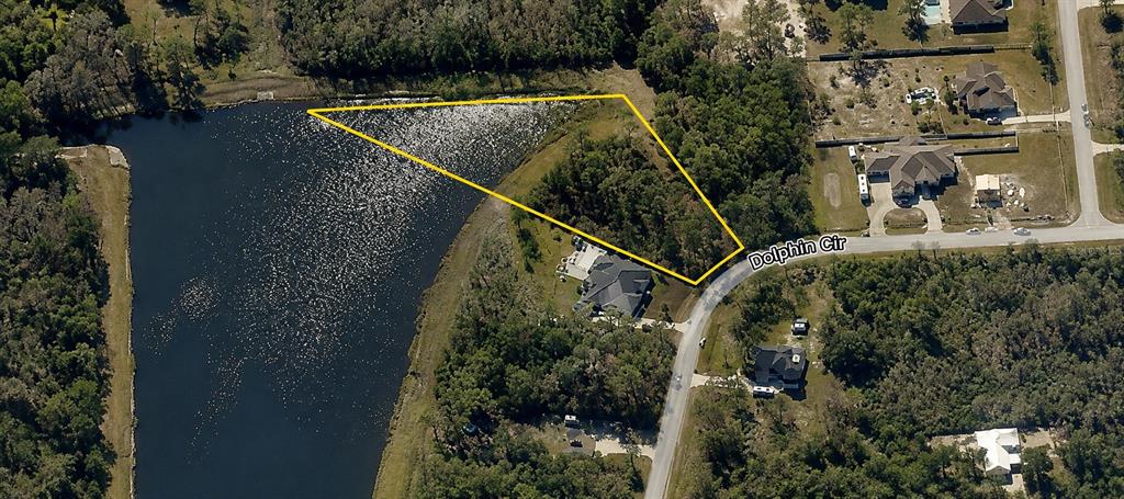 This aerial view shows a vacant, triangular-shaped residential lot bordering a lake and a road — DOLPHIN CIRCLE, ORLANDO, FL