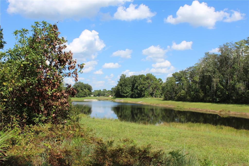 A grassy field leads to a pond surrounded by trees under a blue sky — DOLPHIN CIRCLE, ORLANDO, FL