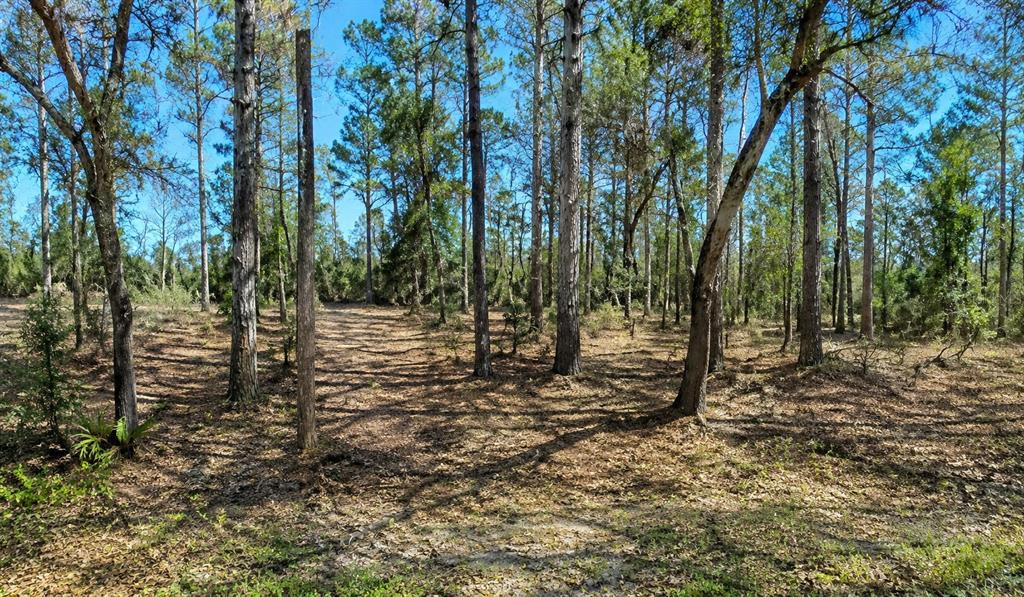 A grassy field overlooks a calm pond surrounded by a dense line of trees — DOLPHIN CIRCLE, ORLANDO, FL
