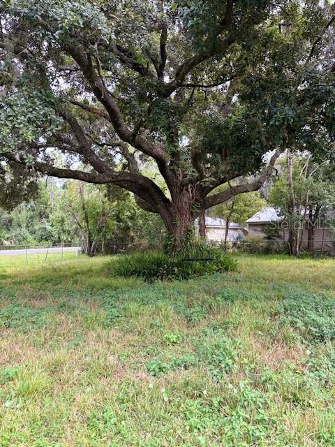 21103 REINDEER ROAD, CHRISTMAS, FL — photo 3 of 24