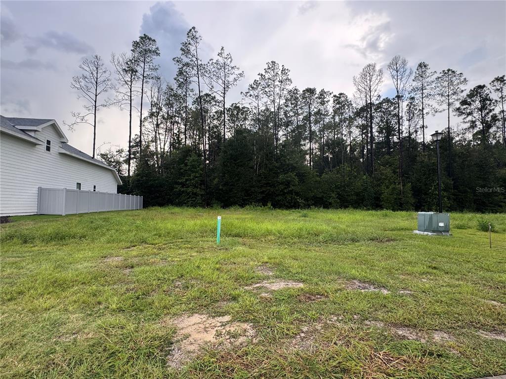 838 SW 145TH DRIVE, NEWBERRY, FL — photo 4 of 7