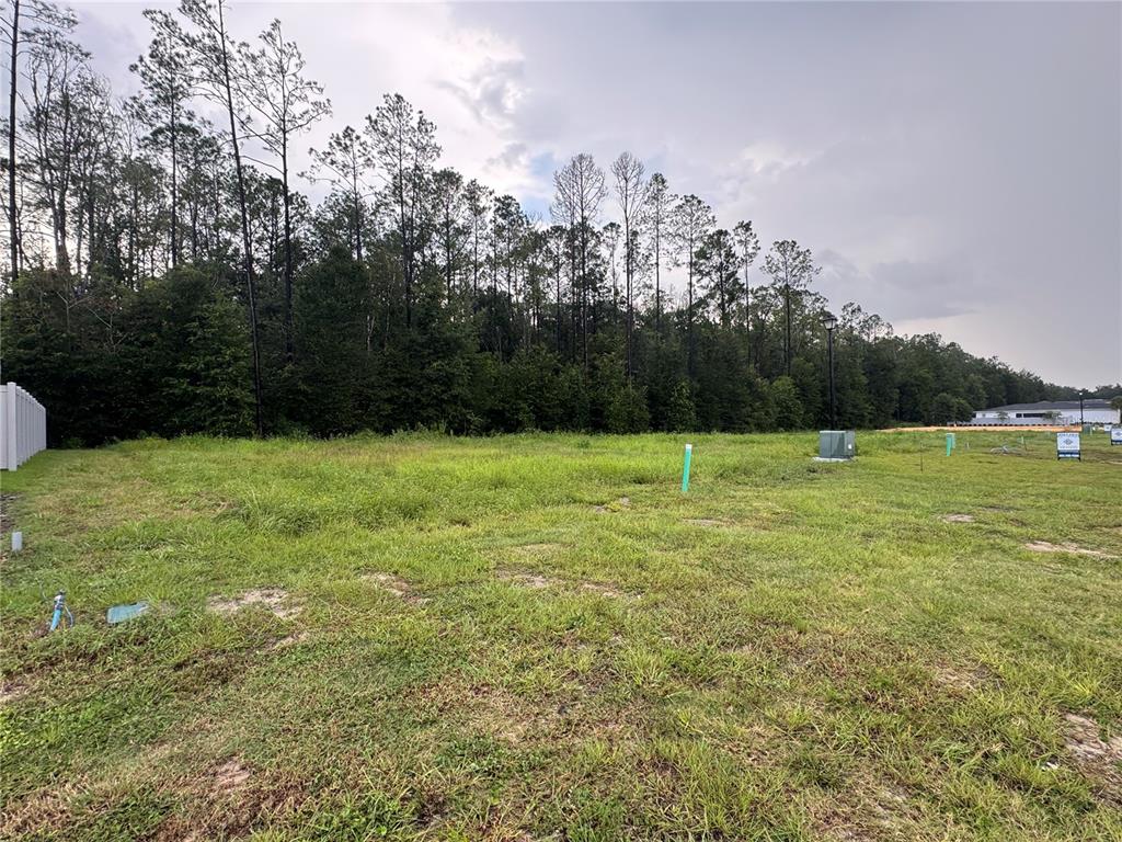 838 SW 145TH DRIVE, NEWBERRY, FL — photo 5 of 7