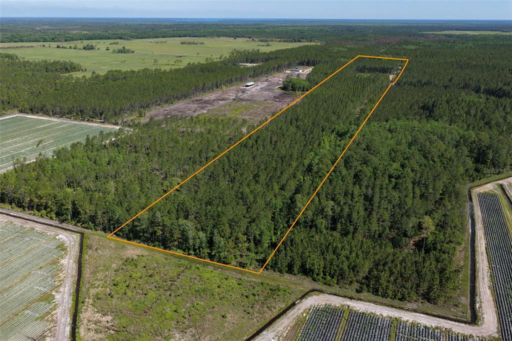 An aerial view shows a rectangular, tree-covered plot of land outlined in orange — 15539 COUNTY RD 305, BUNNELL, FL