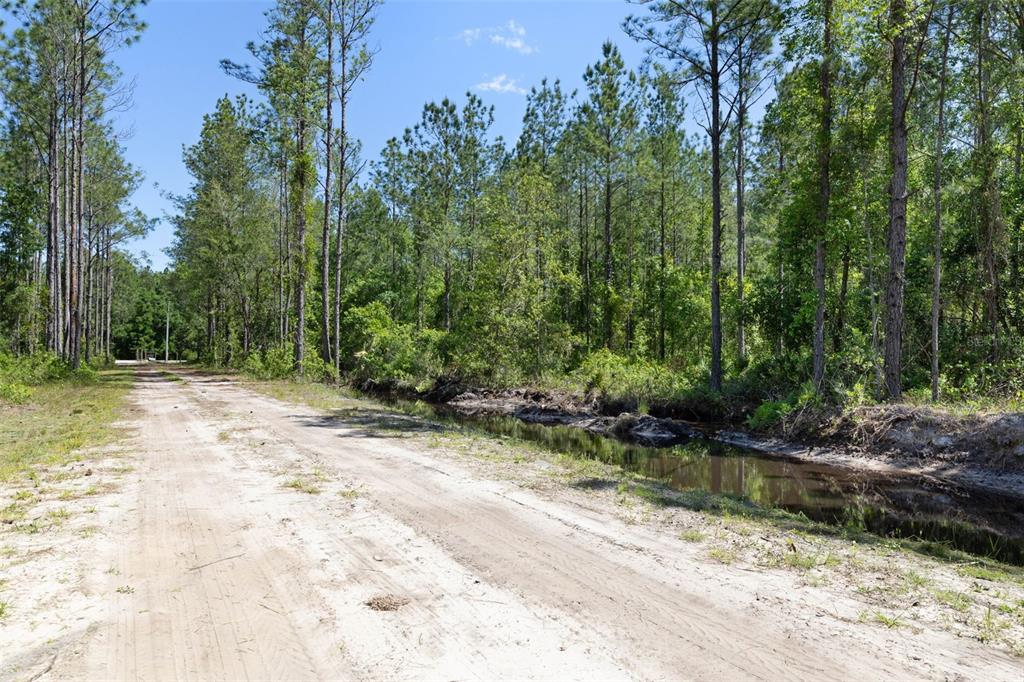 A dirt road runs alongside a narrow drainage ditch bordered by a dense pine forest — 15539 COUNTY RD 305, BUNNELL, FL