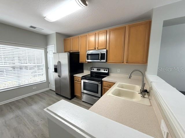 A kitchen features light wood cabinets, stainless steel appliances, and a double-basin sink — 1178 VINELAND PLACE, LAKE MARY, FL