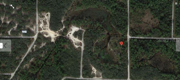 This is a satellite map view showing a wooded area with dirt roads and residential streets — CHIMNEY ROCK DRIVE, WEBSTER, FL