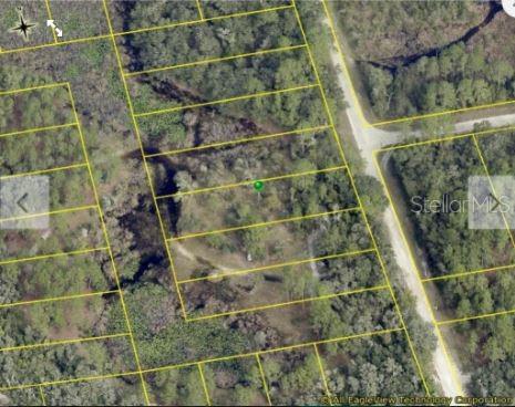 An aerial map view shows a rectangular plot of land outlined in yellow among trees — CHIMNEY ROCK DRIVE, WEBSTER, FL