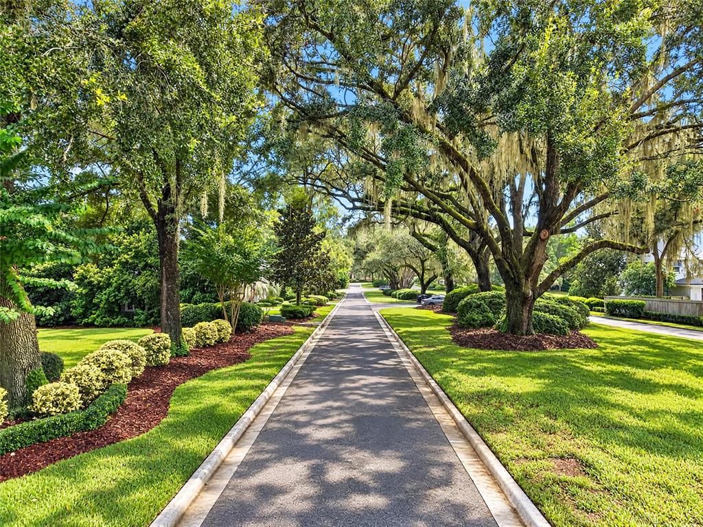 3912 SW 88TH STREET, GAINESVILLE, FL — photo 3 of 43