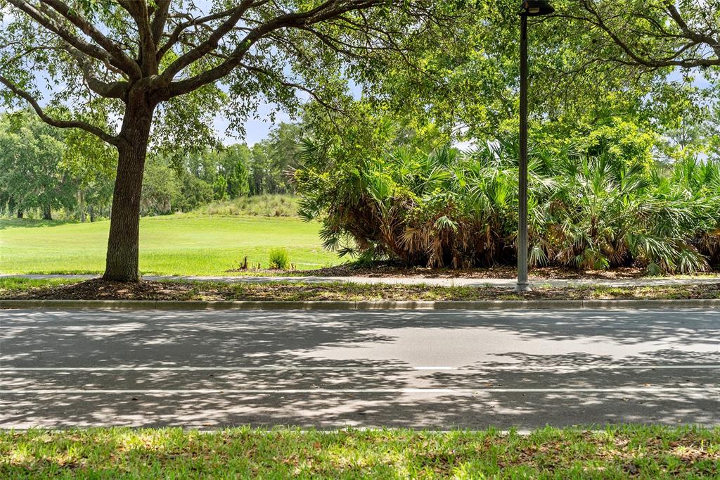 A paved road runs in front of a grassy field with trees and palm bushes — 7134 FIVE OAKS DR UNIT 4B, ST CLOUD, FL