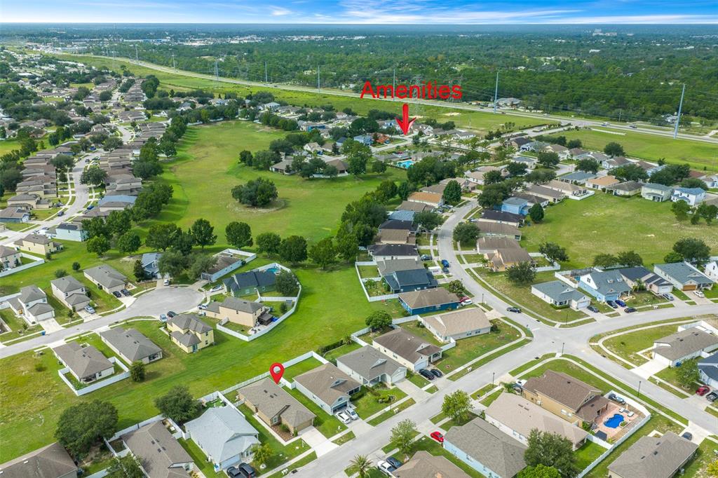 This aerial view shows a suburban neighborhood with houses, green spaces, and a community pool — 14316 HOLLY HAMMOCK LANE, BROOKSVILLE, FL