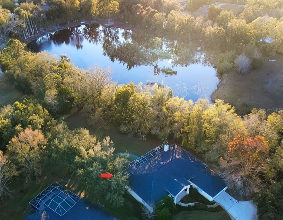 An aerial view shows a house with a pool cage near a wooded lake — 814 BRANTENBURG WAY, LUTZ, FL