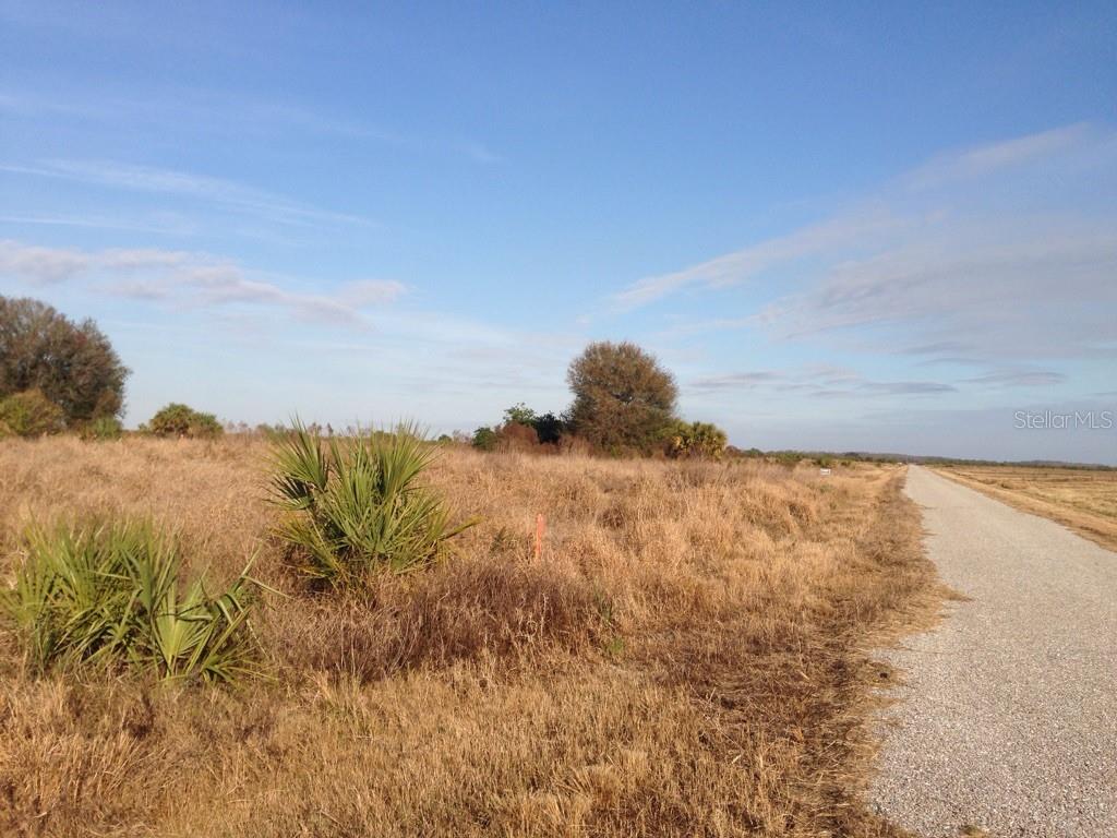 A gravel road runs alongside a field of dry grass and scattered palmetto bushes — 1901 GRAHAM ROAD, PUNTA GORDA, FL
