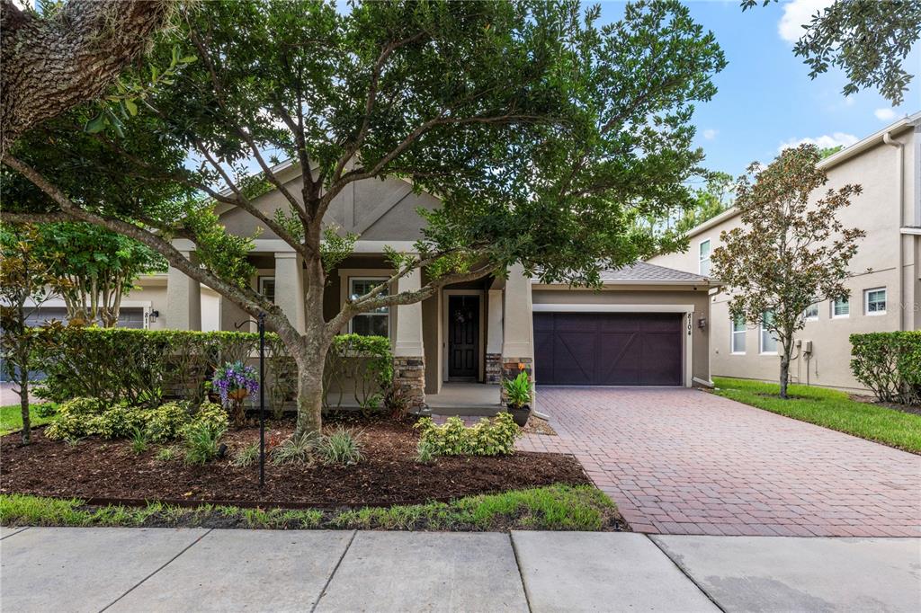 A single-story house with a paved driveway, a front porch, and a large tree — 8104 JAILENE DRIVE, WINDERMERE, FL