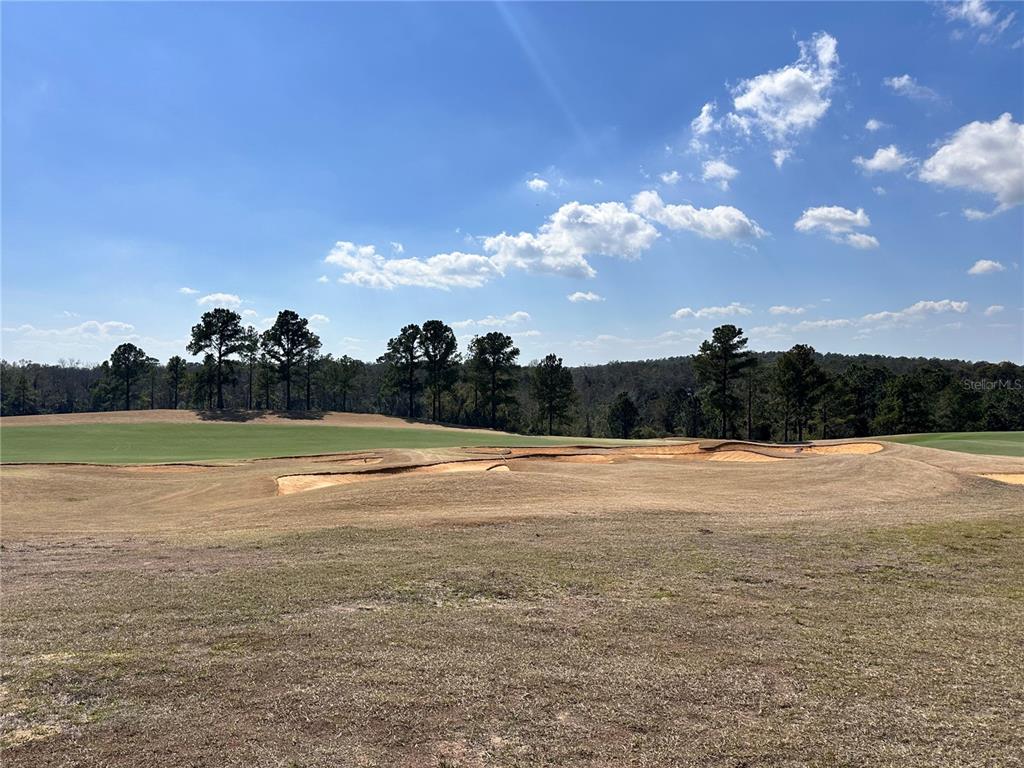 A view of a golf course fairway with sand bunkers and a line of trees — 16222 VETTA DRIVE, MONTVERDE, FL