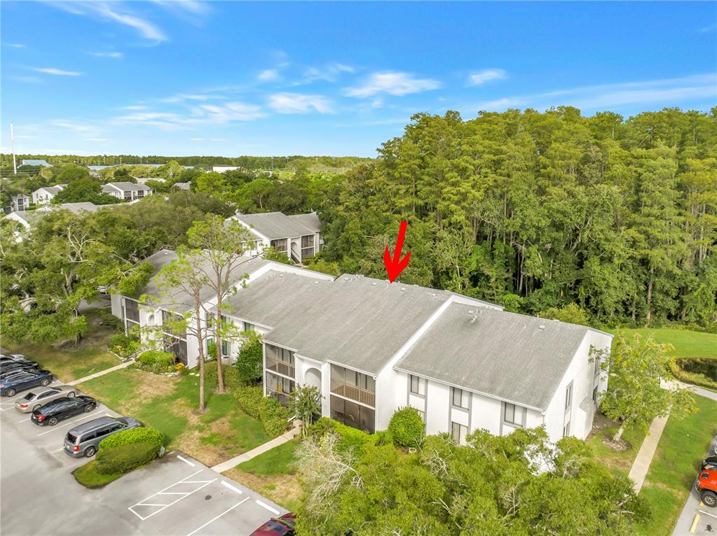 1290 PINE RIDGE CIRCLE E UNIT G2, TARPON SPRINGS, FL — photo 2 of 30