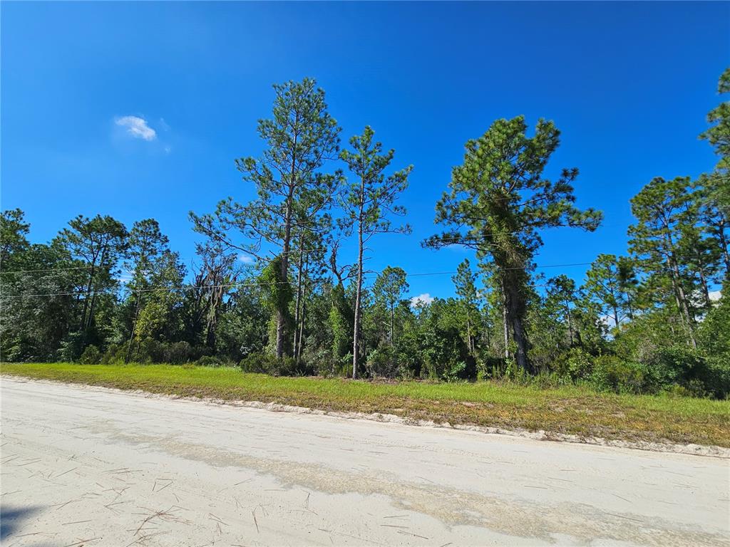 0000 NE 38TH PLACE, WILLISTON, FL — photo 3 of 4