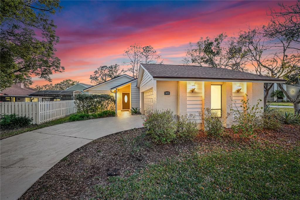 1411 BORG LANE