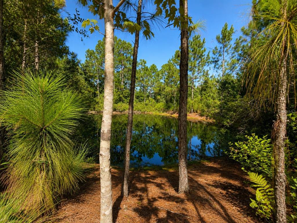 5350 OSCEOLA DRIVE, ST CLOUD, FL — photo 3 of 30