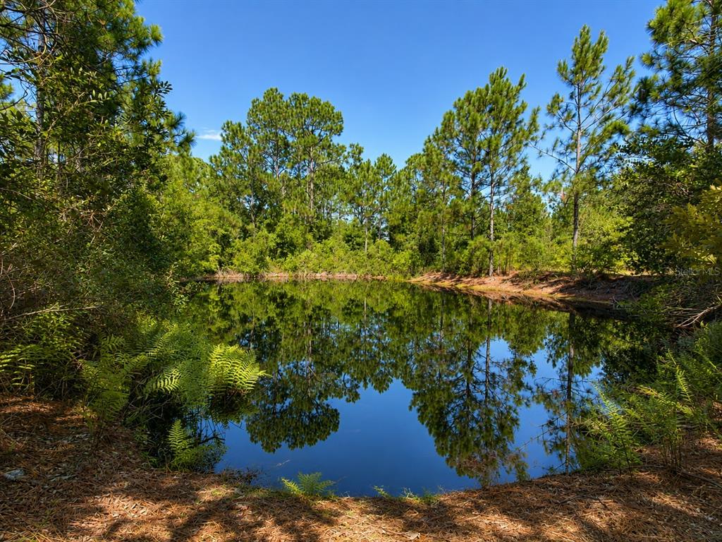 5350 OSCEOLA DRIVE, ST CLOUD, FL — photo 4 of 30