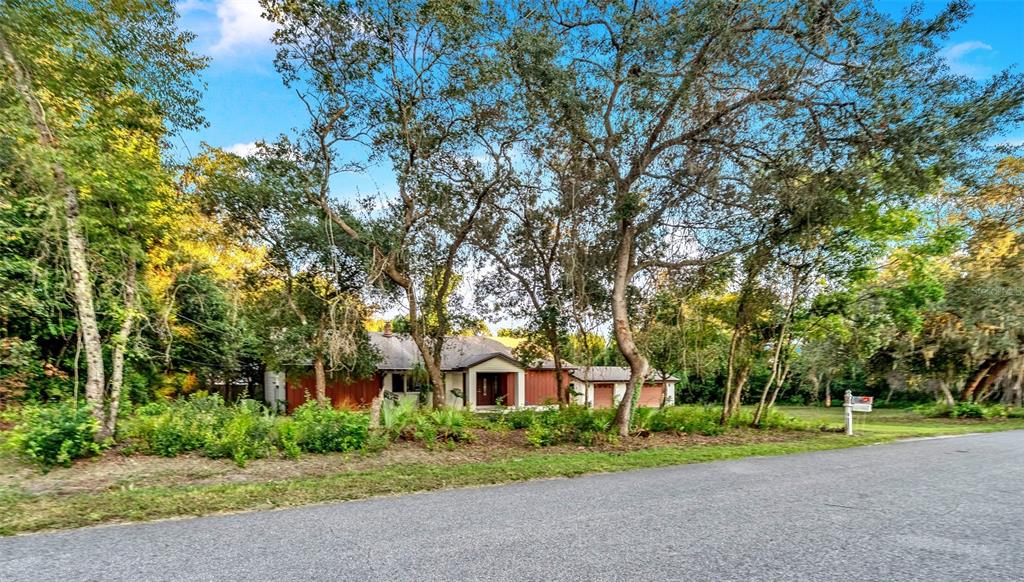 A single-story house with red siding and a garage sits behind trees near a road — 245 AGUA VISTA STREET, DEBARY, FL