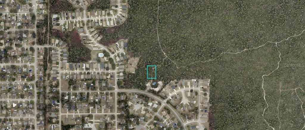 MORGAN (PAPER) STREET, DELTONA, FL — photo 2 of 2