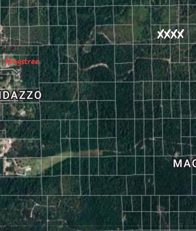 This is an aerial map view showing a grid of undeveloped, wooded land parcels — NO NAME, DELAND, FL